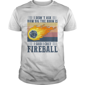 I Didnt Ask How Big The Room Is I Said I Cast Fireball Vintage Shirt Trend T Shirt Store Online